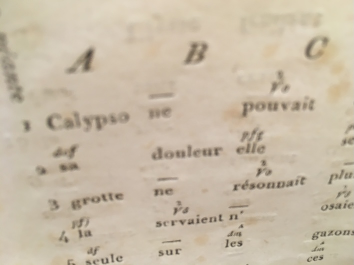 #115/ Essai de poésie pasigraphique*, par Frédéric Moulin